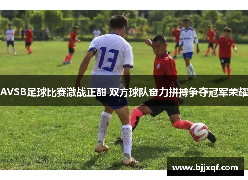 AVSB足球比赛激战正酣 双方球队奋力拼搏争夺冠军荣耀