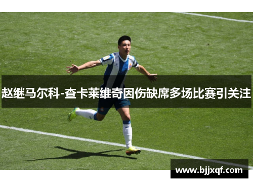 赵继马尔科-查卡莱维奇因伤缺席多场比赛引关注